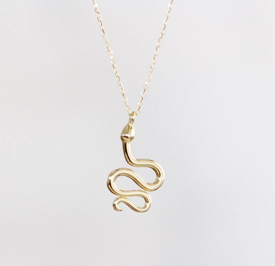You are currently viewing Snake Necklace